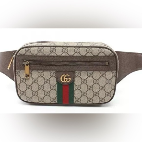 Gucci Waist Bag - Picture 1 of 7